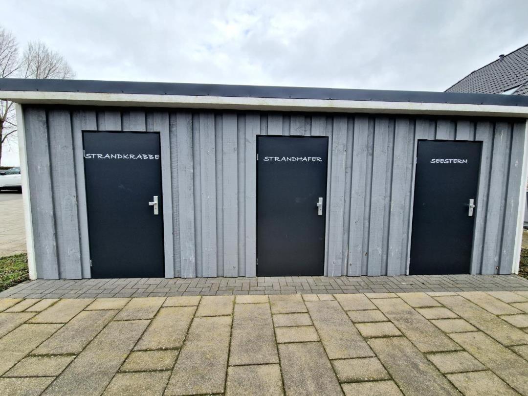 Seestern Fehmarn